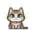 cat 11